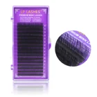Extension Volume Eyelash Extension Free Samples Blooming Grafted False Cluster Volume Individual Lashes Eyelash Extension