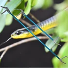 Snake Stick 1.0m Snake Catching Hook Snake Handle Tongs Snake Catcher Stick
