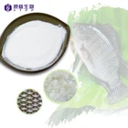 Food Enough Collagen Powder Reliable High Quality Elastin Fish Hydrolyzed Water Soluble Skin Whitening Fine