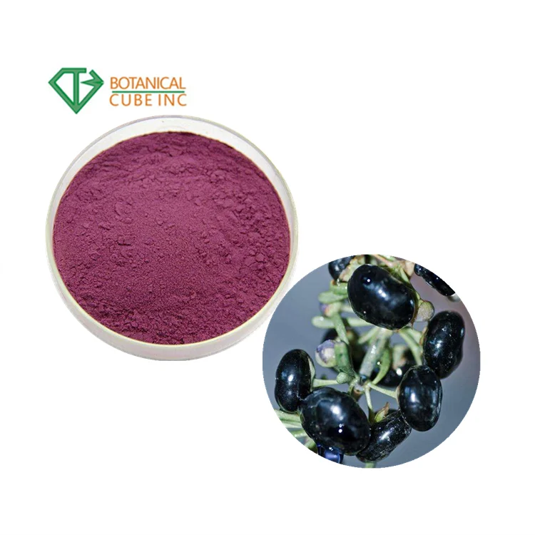 natural black wolfberry extract wolfberry extract