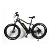/product-detail/fat-tire-electric-bike-bicycle-750w-ebike-48v-e-bike-62079444372.html