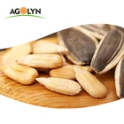 AGOLYN Big Size High Quality Sunflower Seeds