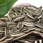 Seeds High Quality New Crop Chinese Original Sunflower Seeds 363