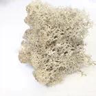 Decoration Flower Factory Wholesale Christmas Decoration / Wall Decoration Flower High Quality Moss