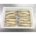Hot Selling Sea Food Frozen Spanish Mackerel Tuna Loin