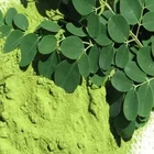 Moringa Oleifera Herbal Powder Herbal Supplement Pure Natural Moringa Oleifera Leaf Powder Extract