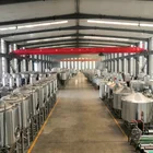 Hotels Conical Stainless Fermenter Beer Fermenting Turnkey Plant for Bar Pub/brew Kettle System/Stainless Steel