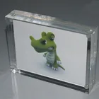 Customized Acrylic Photo Acrylic Picture Display