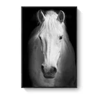 animal wall arts horse painting on canvas for home decore