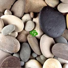 Natural Color River Pebble Stone for Garden Landscaping