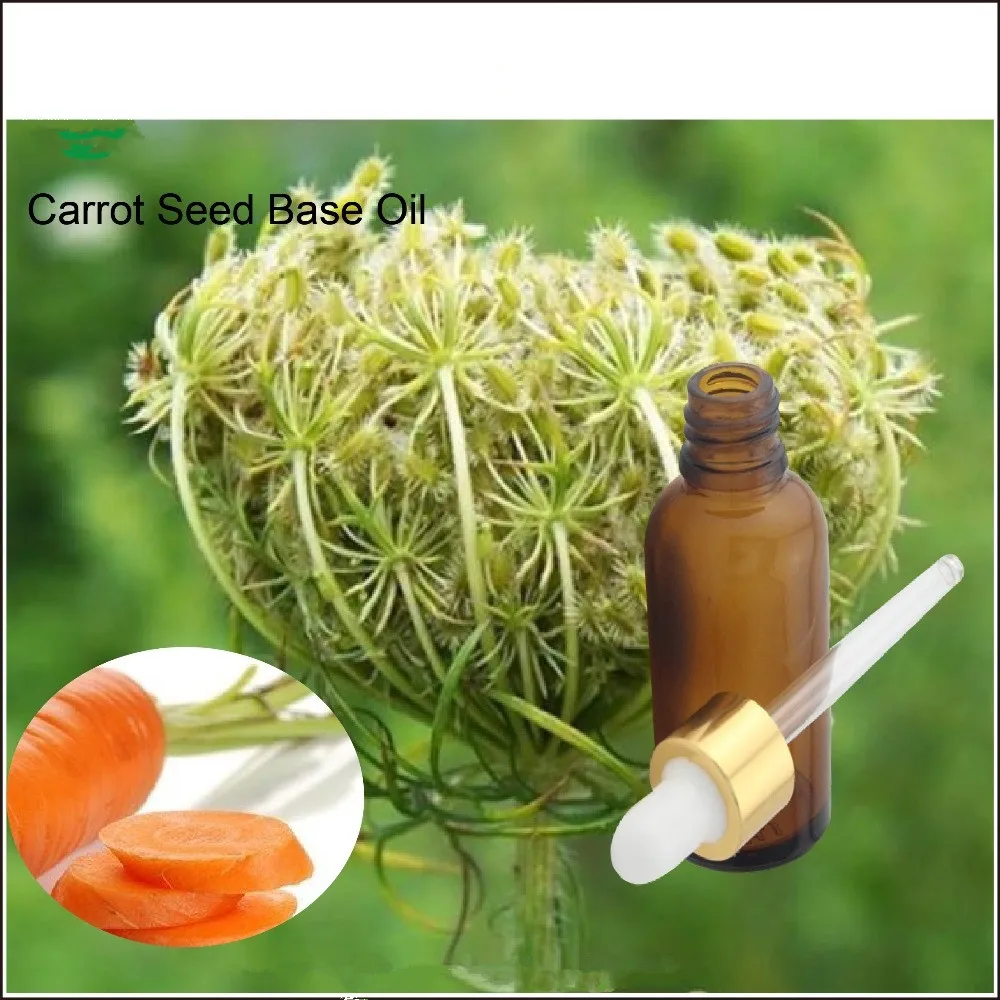 y1195 wholesale prices 100% pure essential oil carrot seed oil