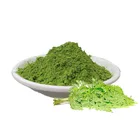 Moringa Oleifera Healthcare Product High Quality 99% Instant Moringa Oleifera Leaf Extract