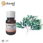 YDM-65324 Eucalyptus leaf flavouring oil fragrance artificial food grade flavor for bakery