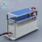 Air Integrated Air 5g Ozone Generator 220V