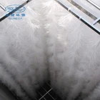 Semi soft biofilter for waste water treatment