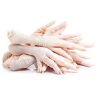 Frozen Chicken feet Chicken paws/Chicken legs/Chicken wings