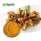 Anti-Inflammatory Bulk Natural Food Pigments 95% Curcumins Turmeric Root Extract Powder