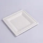 Eco Biodegradable Disposable Sugarcane Bagasse Dinnerware