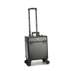 New professional aluminium cosmetic trolley case Portable makeup case for sale