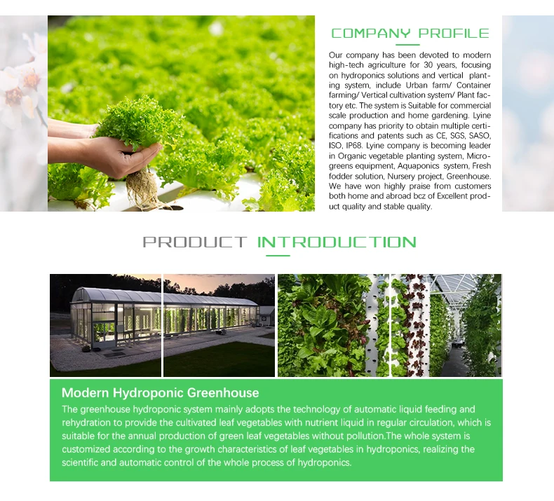 hydroponic-farming_02