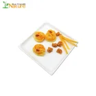 8 Inch Biodegradable Square Dinnerware Bagasse Paper Plates