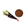 /product-detail/25-anthocyanins-water-soluble-black-color-carrot-extract-by-uv-hplc-60795105812.html