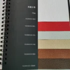 Paper Colorful Unique Single Side Lichee Machine-embossed Paper 120g Colorful Fine Paper Sheet For Packaging