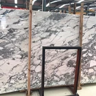 Polished Italy Natural Arabescato Marble