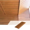 Foshan Wood Plastic PVC Composite Wall Panel, WPC Ceiling Tile for Interior/Exterior Decoration 120*12mm Building Materials