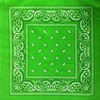 Custom LOGO Animal Printed Square 100% Cotton Bandana