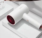 Apiyoo Sup Portable Powerful Anion Hair Dryer 1800W