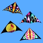 Coloring easy flying stunt north kite