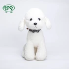 Different Sizes Traction Pet Accessories Dog Collar for Dog Training and Walking