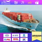 Shenzhen Shenzhen Ddp Shipping Cheap Sea Freight Shipping China Shenzhen To New Zealand Ddp