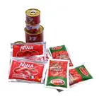 Promotional Waterproof Stand Up Aluminum Foil Bag For Tomato Curry Paste