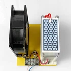 Generator 220V 10G Double Integrated Ceramic Portable Ozone Generator Industrial