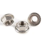 Professional Manufacture Stainless Steel 304 316 Hex Serrated Flange Nut with DIN6923 Standard