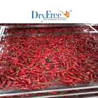 Large Capacity Tray Dryer Type of Food processing drying equipment for Date palm drying machine or Olive dehydrator