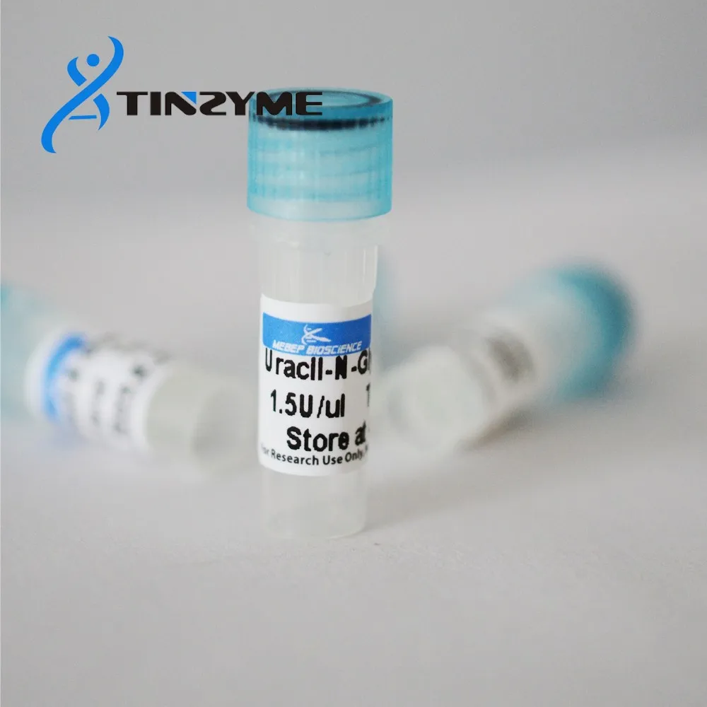 Uracil Dna Glycosylase Ung Thermolabile Udg Hotlabile Buy Uracil Dna