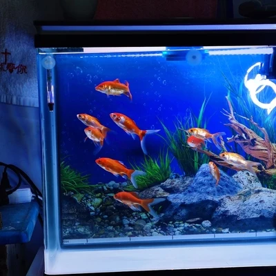 HE-300 aquarium tank 6.jpg