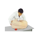 Life Advanced Human Life Size Plastic Lumbar Puncture Training Model