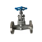 Integral stainless steel unidirectional globe valve