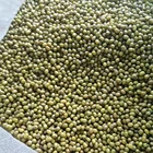 Beans Mung Beans High Quality Green Mung Beans For Sprouting For Sale