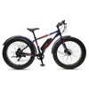 /product-detail/e-bikes-fat-tire-electric-bike-for-adult-62278162352.html