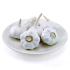 Garlic Garlic Top Quality Garlic Purple Garlic 20kg Product Type Garlic