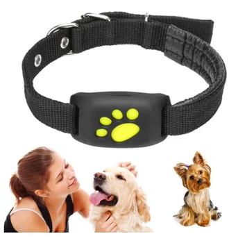 dog collar tracking system