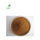 Health supplement lions mane powder lions mane extract lion's mane mushroom extract