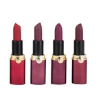 Natural Waterproof Moisturizing Private Label Matte Fall Color Matte Lipstick