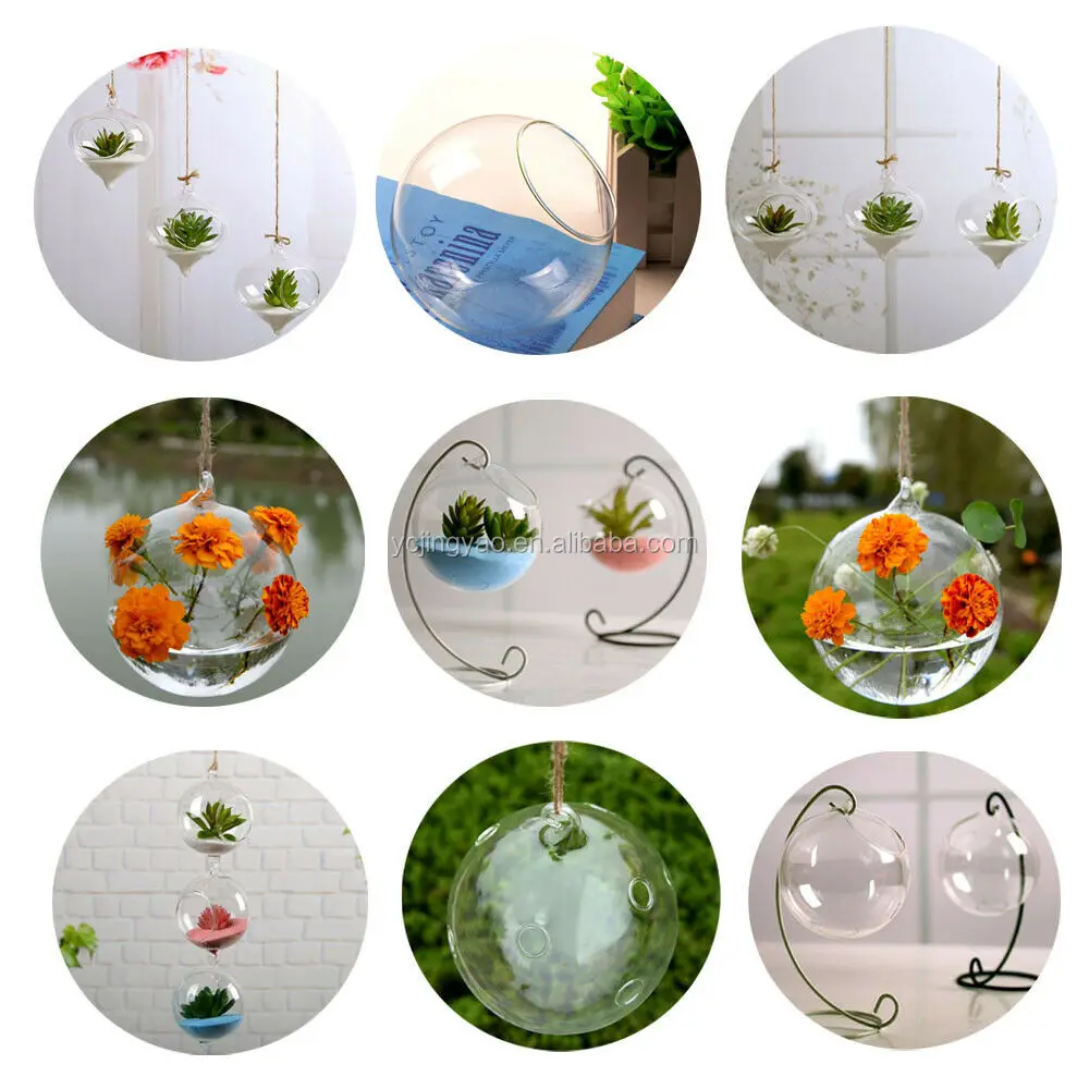 Clear Egg Shaped Flat Bottom Round Bubble Glass Globe Terrarium