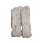 Ningbo Manufacturer Frozen Sarda Tuna Fish